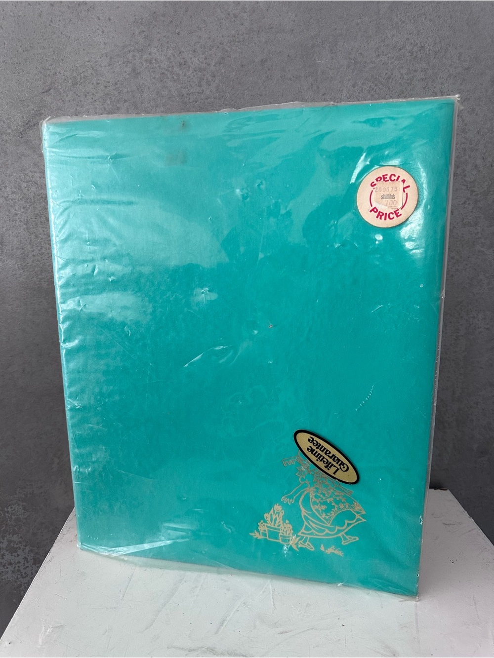 VINTAGE NOS THE HOLES WEBWAY CO PHOTO ALBUM SCRAPBOOK 25 PAGES